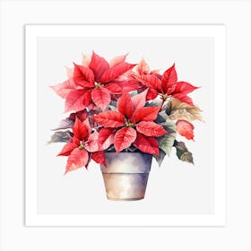 Poinsettia 26 Art Print