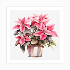 Poinsettia In A Pot 2 Art Print