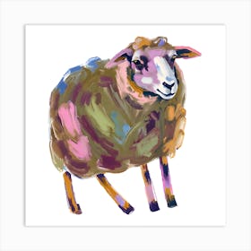 Merino Sheep 02 Art Print