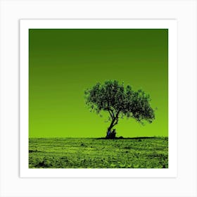 Lone Tree 13 Art Print