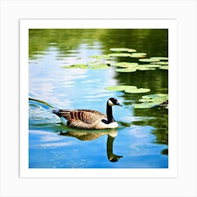 Canadian Goose In The Pond Photo Art Print