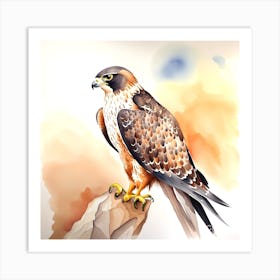 Falcon Watercolour2 Art Print