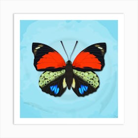 Mechanical Butterfly The Agrias Amydon Tryphon On A Light Blue Background Art Print