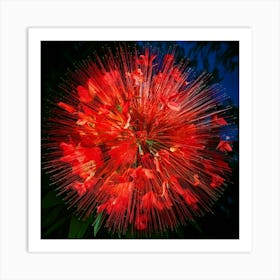 Firefly Explosion, Red, Orchids, Vibrant, Colorful, Floral, Dynamic, Dramatic, Vivid, Petals, Burst, (11) Art Print