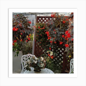 Begonias In A Greenhouse Art Print