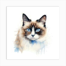 Snowshoe Cat Portrait Art Print