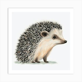 Hedgehog 1 Art Print