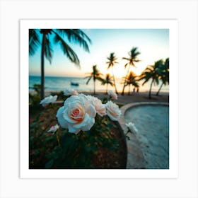 Sunset Roses On The Beach Art Print