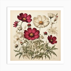 Cosmos Wildflower Vintage Botanical Art Print Art Print