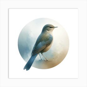 Bluebird Art Print