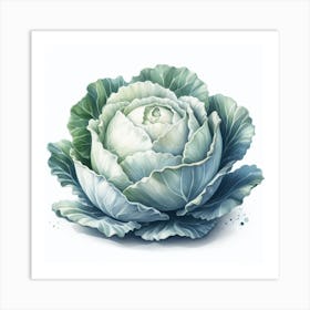 White cabbage 2 Art Print