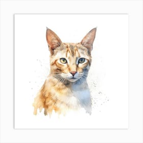 Mekong Bobtail Cat Portrait 1 Art Print