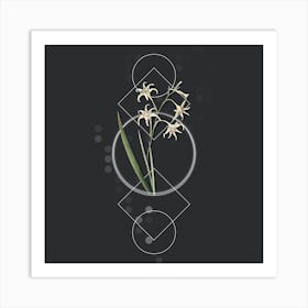 Vintage Gladiolus Cuspidatus Botanical with Geometric Line Motif and Dot Pattern n.0314 Art Print