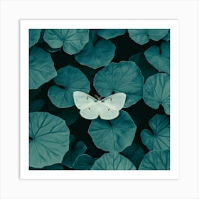 Butterfly On A Leaf Art Print