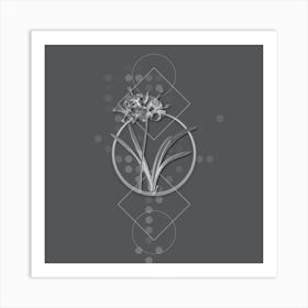 Vintage Guernsey Lily Botanical with Line Motif and Dot Pattern in Ghost Gray n.0294 Art Print