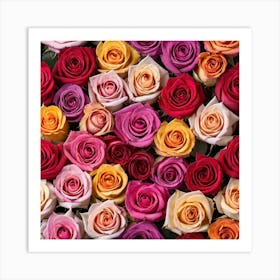 Colorful Roses 10 Art Print