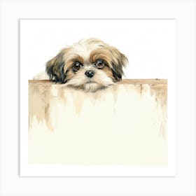 Shih Tzu 11 Art Print