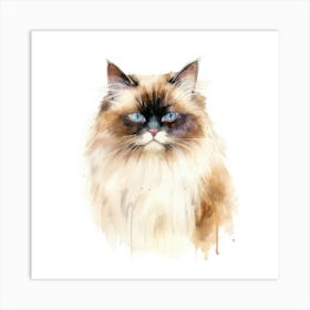 Chocolate Point Himalayan Cat Portrait 1 Art Print