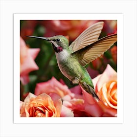 Hummingbird Art Print