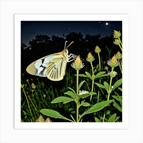 Butterfly At Night Art Print