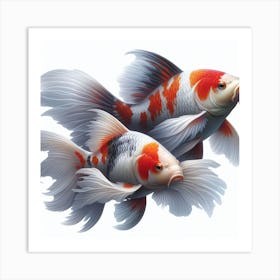 Koi fish 1 Art Print