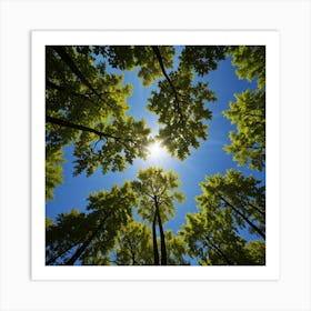 Sun Shining Through A Forest Art Print