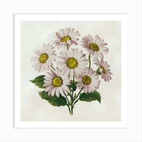 Daisy Bouquet 4 Art Print