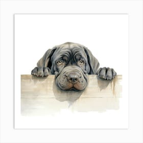 Dog Looking Over A Fence 4 Art Print