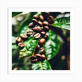 Coffee Beans On The Tree 5 Art Print