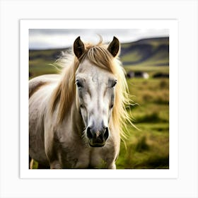 Grass Mane Head Equestrian Horse Rural White Iceland Nature Brown Field Mammal Pony Wil (2) 1 Art Print