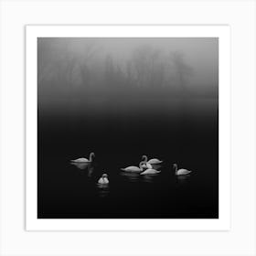 Swan Lake Foggy Morning Art Print