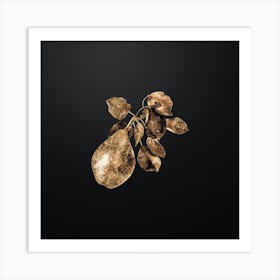 Gold Botanical Pear Branch on Wrought Iron Black n.0008 Art Print