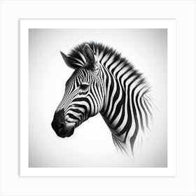 Zebra Head Art Print