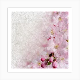 Pink Cherry Blossoms Art Print