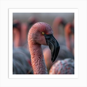 Flamingos 12 Art Print