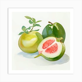 Guava Art Print