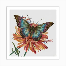 Butterfly On A Flower Art Print