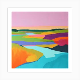 Colourful Abstract Everglades National Park Usa 7 Art Print