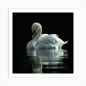 White Swan Art Print