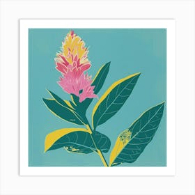 Celosia 1 Square Flower Illustration Art Print
