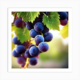 Grapes On The Vine 47 Art Print