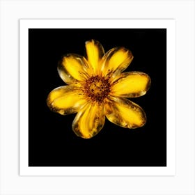 Yellow Flower Art Print