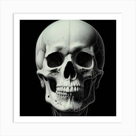 Skull Of A Human Art Print