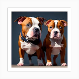 Bull Dogs  Art Print