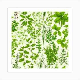 Seamless Pattern Of Herbs 8 Art Print