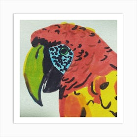 Macaw Art Print