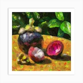 Mangosteen Art Print