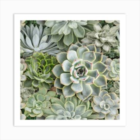 Succulent Nature Green Plants Art Print