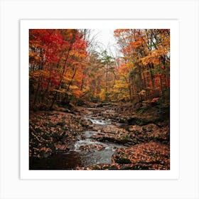 Autumn In The Woods Art Print