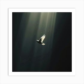 Dove In The Light Art Print